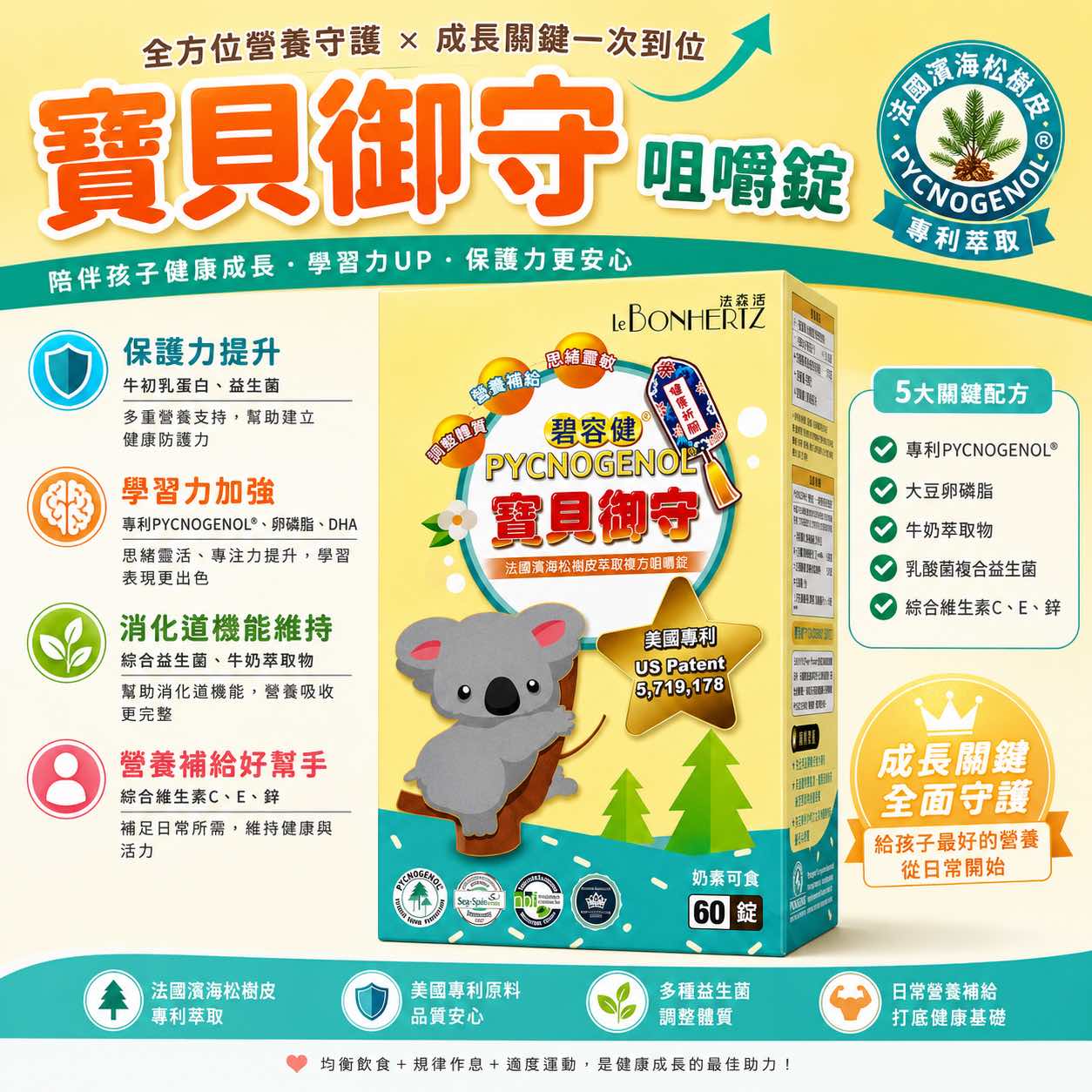 IMG_6815 寶貝御守 碧蓉健松樹皮複方咀嚼錠 60錠/盒